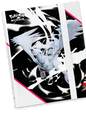 Binder White Flare - Reshiram